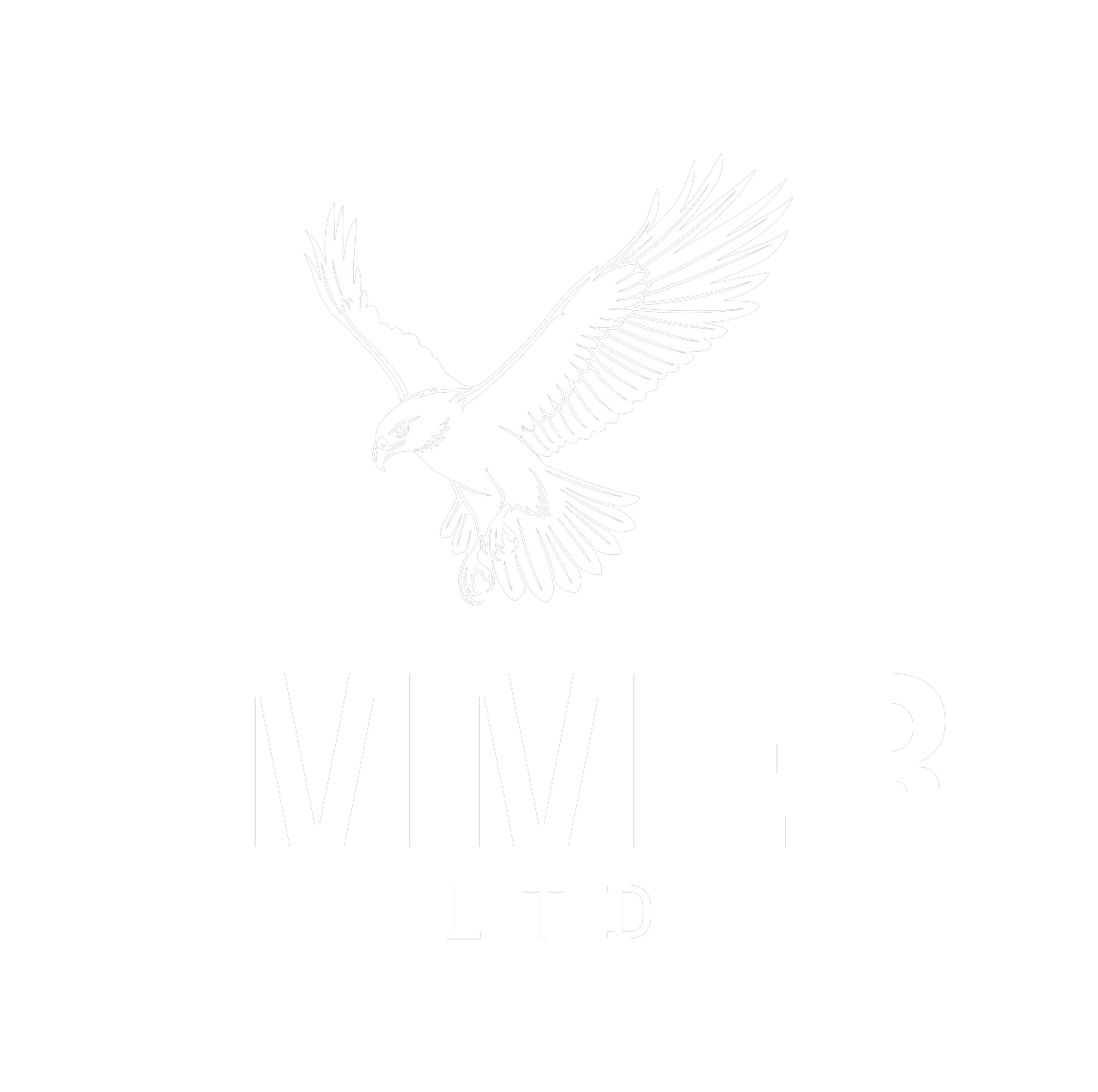 IMMER Ltd